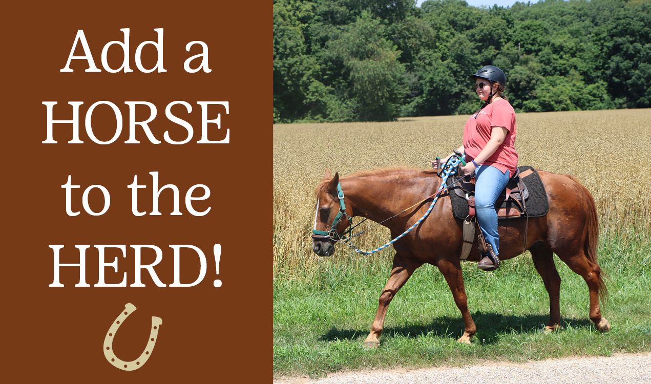 #Giving Tuesday - December 2, 2025